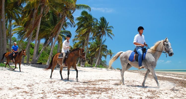 Horses